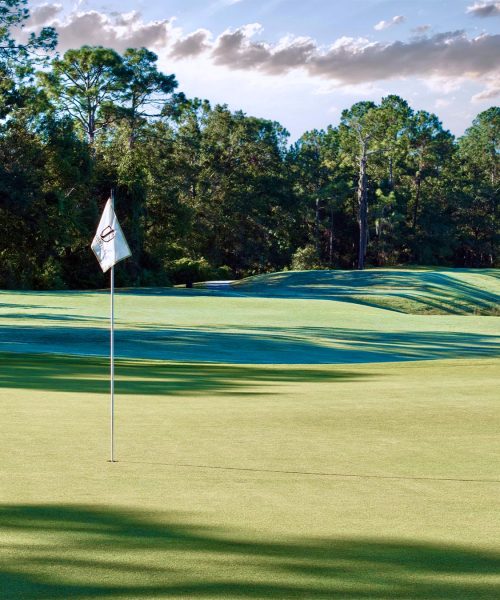 Julington Creek Golf Club Hole 17 Flag View