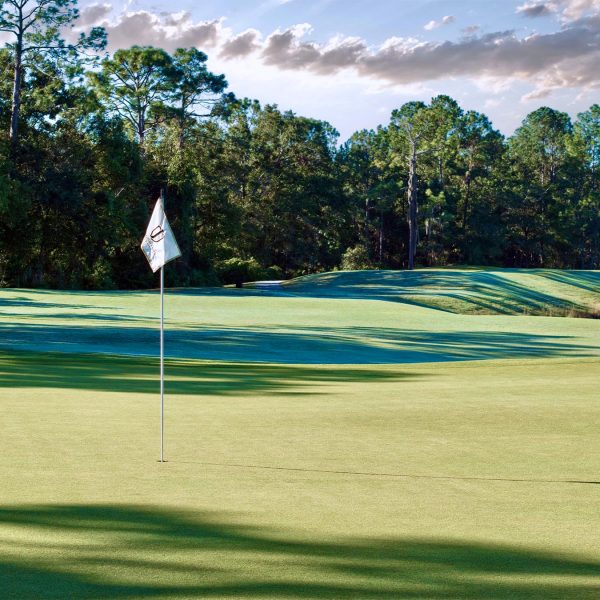 Julington Creek Golf Club Hole 17 Flag View