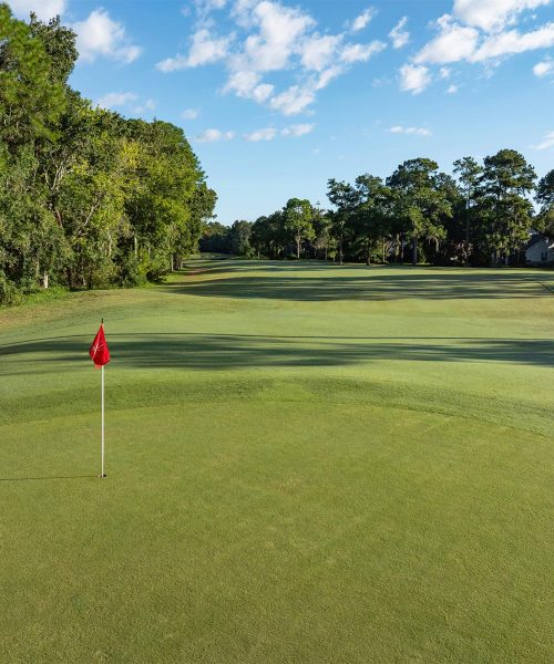Julington Creek Golf Club Hole 14 Green View
