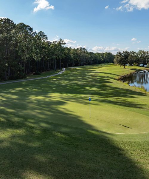 Julington Creek Golf Club Hole 7 Green View